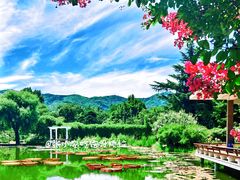-国家植物园
