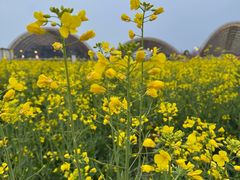 -中国天府农业博览园