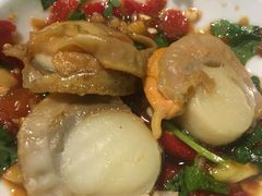 帆立贝-拾下卜卜贝•海鲜火锅