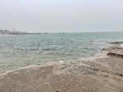-渡海小渔村.老辈日照菜
