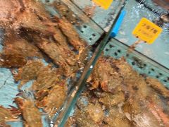 -食鼎记海鲜大排档(美食街店)