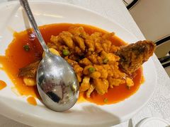 松鼠桂鱼-老人和饭店(打浦路店)