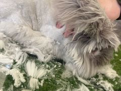 -宠物兔专门店(天丰利市场店)