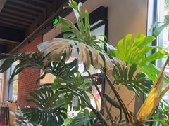 -J Create城市露营咖啡·简餐·宠物(上海动物园店)