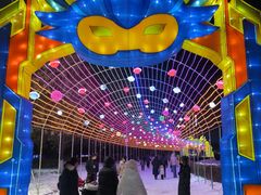 -沈阳奥体冰雪嘉年华