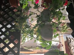 -小厨子私房菜·云南美食店