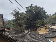-杨家堂村
