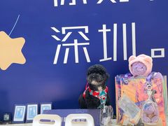 -KK ONE(京基滨河时代店)