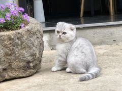 -新疆大厦·慕士塔格餐厅