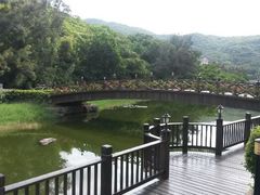 android_upload_pic-三亚亚龙湾金棕榈度假酒店