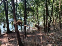 -黔灵山公园