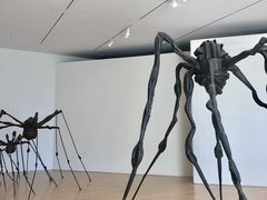 -旧金山现代艺术博物馆