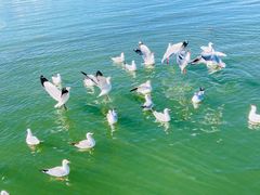 -大理洱海