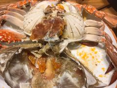 -必点海鲜·鲅鱼水饺(鞍山西道店)