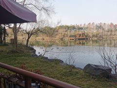 -上海怡沁园度假酒店