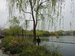 -西湖外事游船(花港观鱼码头)