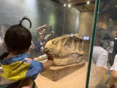 -自贡恐龙博物馆