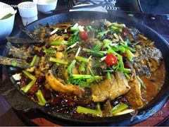 -老板恋上鱼(恒隆广场店)