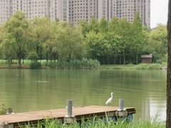-高子水居
