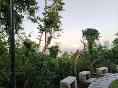 -海南热带雨林国家公园吊罗山景区
