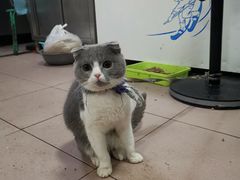 -清真·白家牛肉罩火烧老店(育才街店)