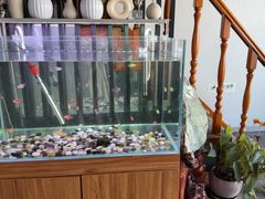 -繁花足道(梅江店)