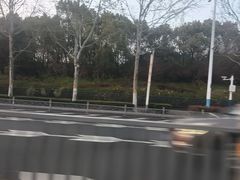 -合肥野生动物园