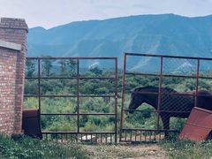 -鬼笑石后山停车场