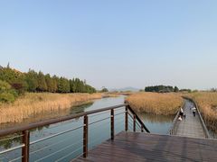 -苏州太湖湖滨国家湿地公园
