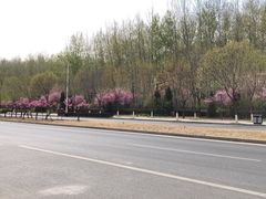 -仁和公园(顺义区)