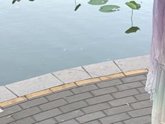 -皇家御河游(紫御湾码头)