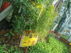 -曲江大雅幼儿园·托育(西安市雁塔区店)