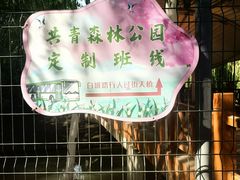 -共青国家森林公园-售票处