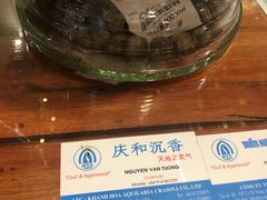 -芽庄中心购物广场