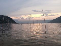 -北岐滩涂