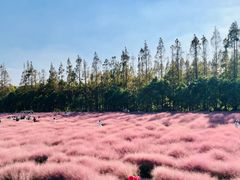 -嘉北郊野公园