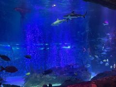 -沈阳海洋探索中心