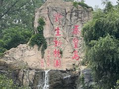 -秦皇岛野生动物园