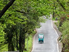 -杨家堂村