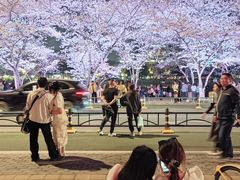 -西北湖绿化广场