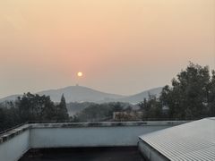 -上海市保健医疗中心