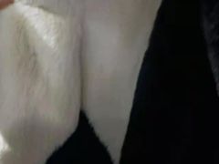 -衣卫士智能洗衣·全市顺丰取衣·苏州总店