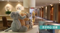 -北京圣宝妇产医院·妇产科·儿科