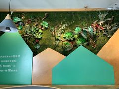 -嘉和一品粥(方庄店)