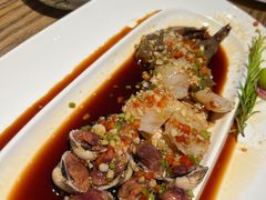 -金成潮菜博物馆(海珠湿地店)