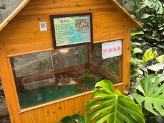 -上海大自然野生昆虫馆(东方明珠·爬宠昆虫探索中心)