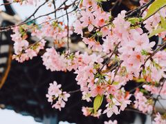 -宝墨园景区