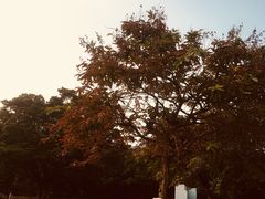 -南沙蒲洲花园