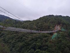 -九龙江国家森林公园