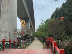 -秀丽东方